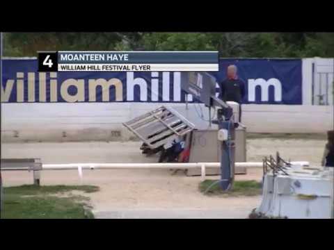 2018 WILLIAM HILL FLYER FINAL -  T4 MOANTEEN HAYE