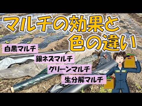 どのような種類のマルチを選択すればよいですか?さまざまなマルチの利点  庭園