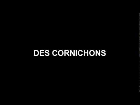 french project les cornichons lyrics video