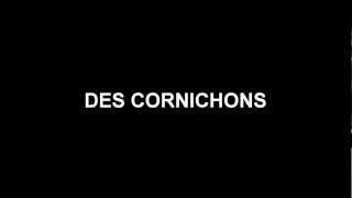 french project les cornichons lyrics video