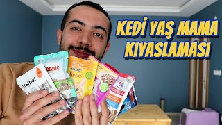 KEDİ YAŞ MAMASI KARŞILAŞTIRMASI (Whiskas, Felix, Friskies, Hill's, Bonnie ve Bestpets Kıyaslama)