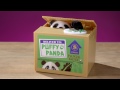 Puffy Panda Bank: DEMO