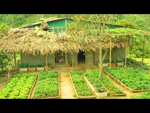 Hela videon av den unge VD:n: Vardagslivet med att bygga en gård och skörda frukt