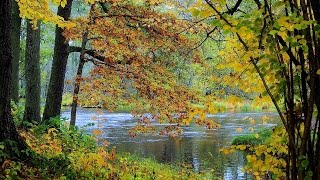 ** Feelings **  -   Acker Bilk