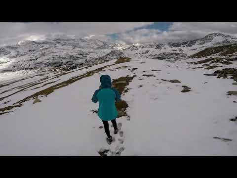 A caccia di MARMOTTE - Valfurva (SO)