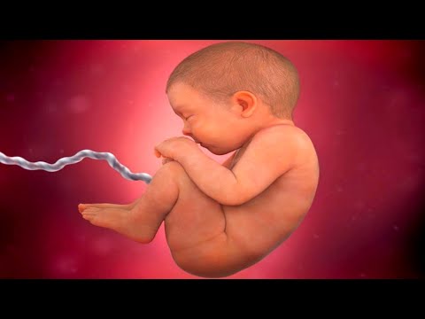 Som Do Ventre Materno para Recém Nascido Dormir A Noite Toda - TELA PRETA