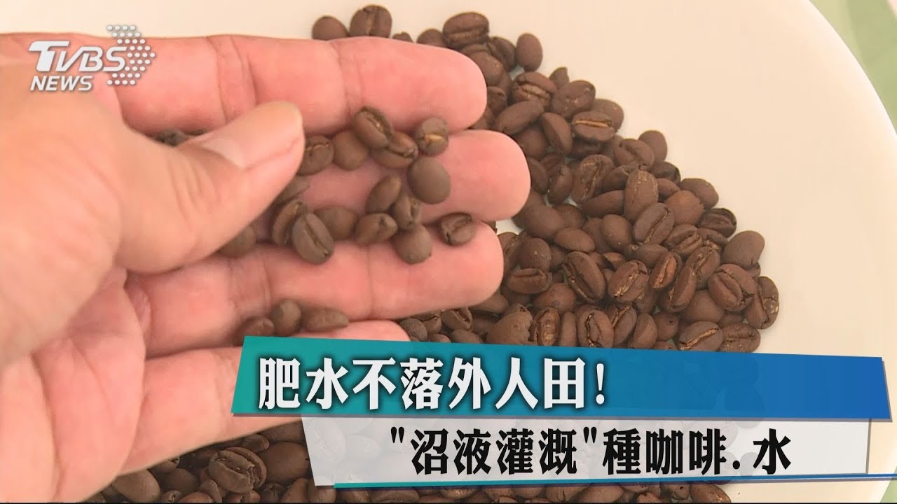 肥水不落外人田! 「沼液灌溉」種咖啡、水果