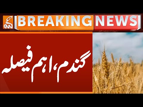 Important Decision regarding Wheat | Breaking News | GNN