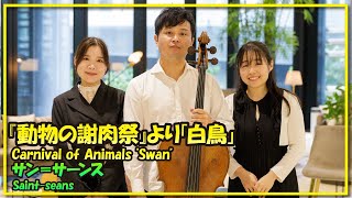 Download lagu サン=サーンス:白鳥(チェロ・ピアノ)/Saint-seans:Swan(Cello・Piano)朝♪クラ~Asa-Kura~ mp3 Download lagu サン=サーンス:白鳥(チェロ・ピアノ)/Saint-seans:Swan(Cello・Piano)朝♪クラ~Asa-Kura~ mp3
