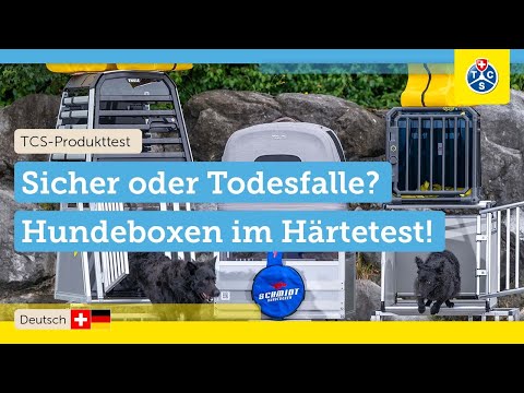 LEBENSGEFAHR für Hund und Insassen? 🚨 Wir testen 9 Hundeboxen im CRASHTEST! | TCS Test 2025