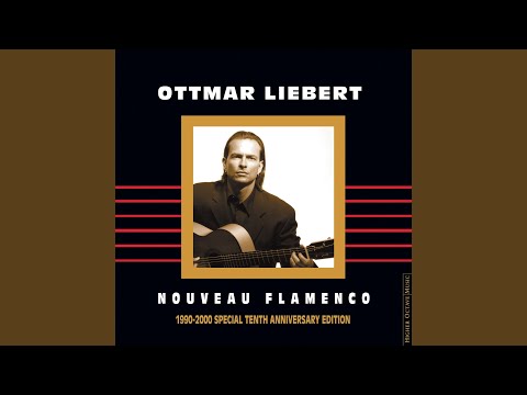 Road To HerHome (Bulerias) - Ottmar Liebert