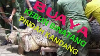 preview picture of video 'Taman Margasatwa Ragunan 3'