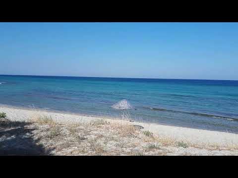 ١١ ديسمبر، ٢٠٢٠(2)