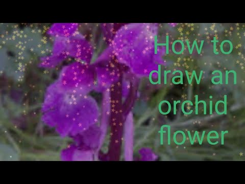 How to draw an orchid flower #orchidflower#