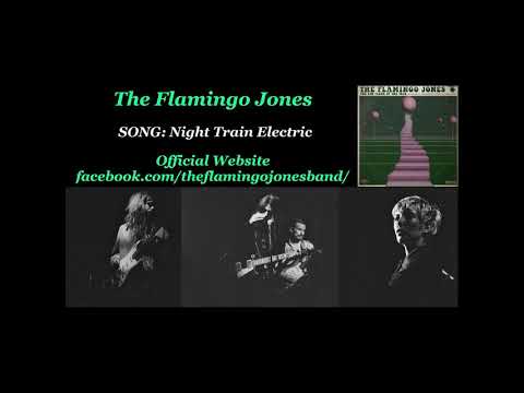 The Flamingo Jones - Night Train Electric