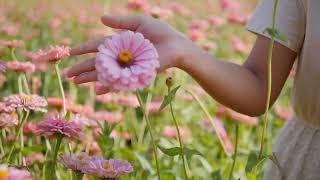 Download lagu Relaxing Sleep Music - Music Penenang Hati Dan Pikiran | Suara Seruling Jepang! mp3 Download lagu Relaxing Sleep Music - Music Penenang Hati Dan Pikiran | Suara Seruling Jepang! mp3