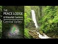 Peace Lodge Video