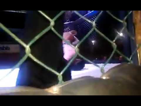 Maurício Almeida " Dentinho vs David Kane Santos categoria 70kg