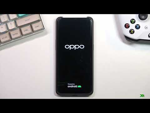 Oppo Reno 10X Zoom – Hard Reset