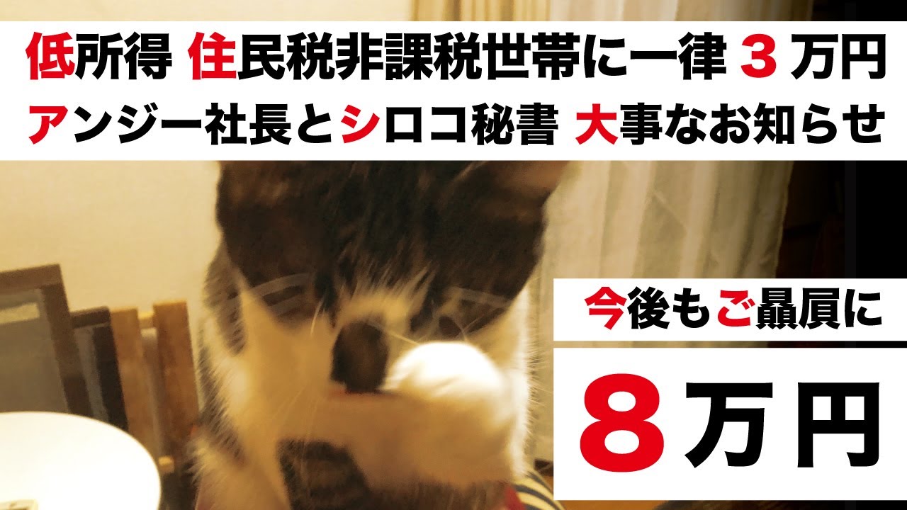 【住民税非課税世帯へ3万円給付 特別給付金5万円 統一地方選挙】大事なお知らせ｜アンジー社長とシロコ秘書