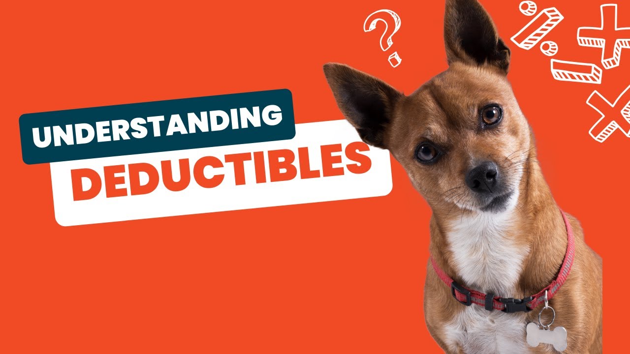 Unlock the Secrets: Pet Insurance Deductibles Explained!