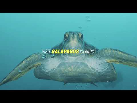 petrel galapagos cruise review