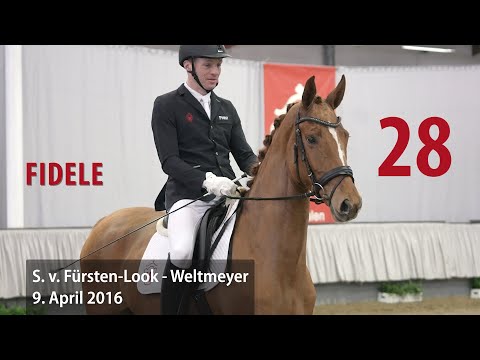 28 Fidele Stute v. Fürsten-Look - Weltmeyer