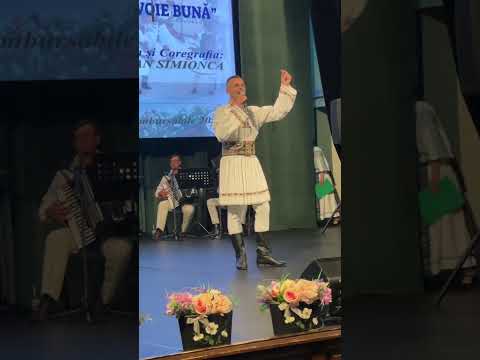 Silviu Avram - FRUNZĂ VERDE DIN CĂRARE ( SPECTACOL LIVE 2025 )