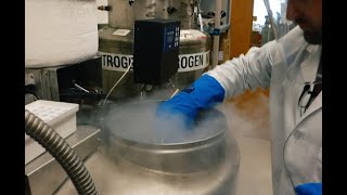 A Look inside the Lab: Liquid Nitrogen Freezer - Vaccine Makers Project
