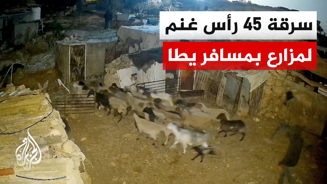 هيئة مقاومة الاستيطان: نحو 100 اعتداء لمستوطنين في الضفة الغربية