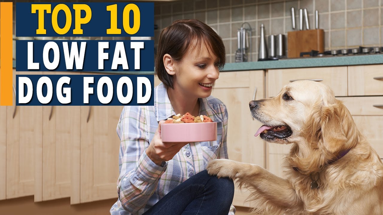 Top 10 Best Low Fat Dog Food Reviews  | ✅Buying Guide 2021