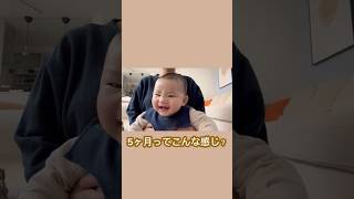 生後5ヶ月ってこんな感じ？あるあるな1日👶 #生後5ヶ月#育児あるある#赤ちゃんのいる生活#育児記録#子育てママ#ベビーの日常#赤ちゃん動画#育児ショート