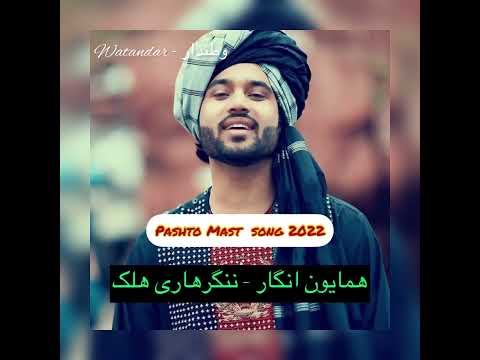 Hamayoun Angar - new Pashto song live 2022 - Nangarhari Halak