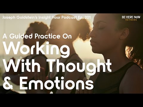 A Guided Practice on Working with Thought and Emotions with Joseph Goldstein – Insight Hour Ep. 201