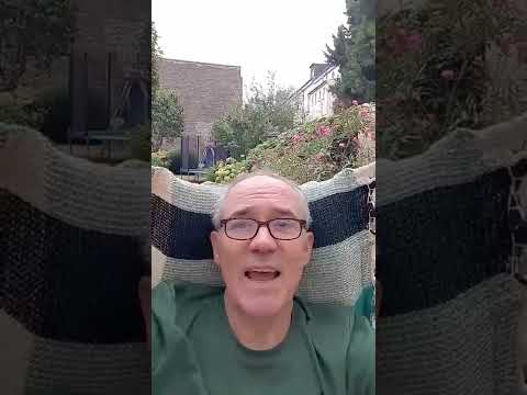 Ambidextrie als Management-Jonglage