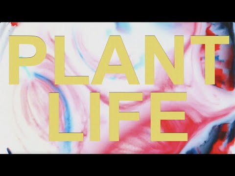 Diary - Plant Life (Official Music Video)