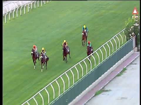 Galoppo 14/07/2018 - 3ª corsa