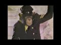 1984 The Wild Wild West Channel 24 WCGV TV Milwaukee Promo