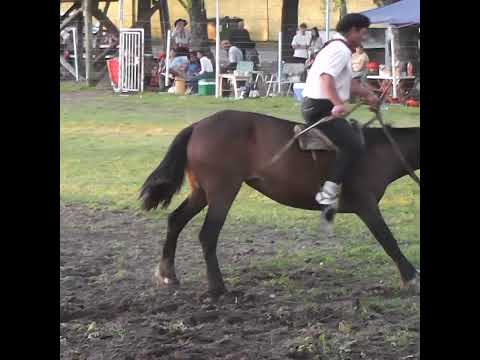 Broche de oro LA TORCASA en la 4º Fiesta de la Tradición en Crespo Entre Rios