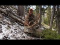 Long-tined Big Buck Success (Wyoming) - MonsterMuleys.com