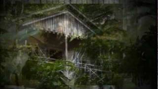 preview picture of video 'Dominica Hotels - Jungle Bay'