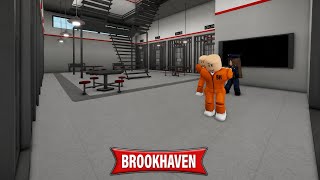 Dumb and dumber . (OFFICIAL MINI MOVIE) BROOKHAVEN