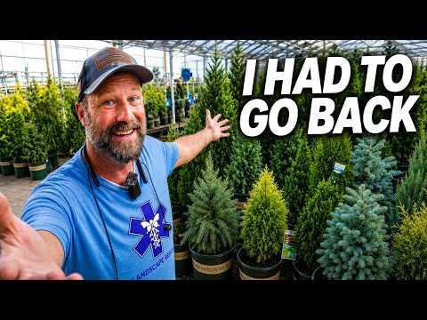 Brooms At Lowes