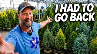 Lowe’s Has Some WILD Monrovia Evergreens Right Now!