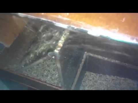 Separador de alpiste