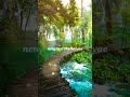 En Anbe Vishal Nayanthara Harris Jayaraj Sathyam Movie Song Whatsapp Status Tamil 90s