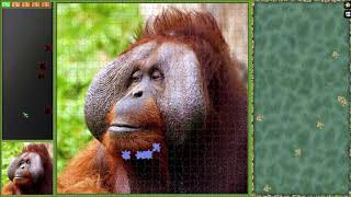 Pixel Puzzles Ultimate ► video № 49◄