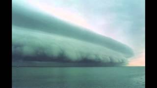 Miniature Tigers - Gold Skull