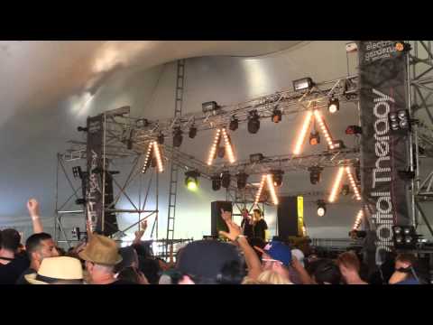 Electric Garden 2016, Sydney - Hernan Cattaneo b2b Nick Warren - De Los Alpes A Los Andes