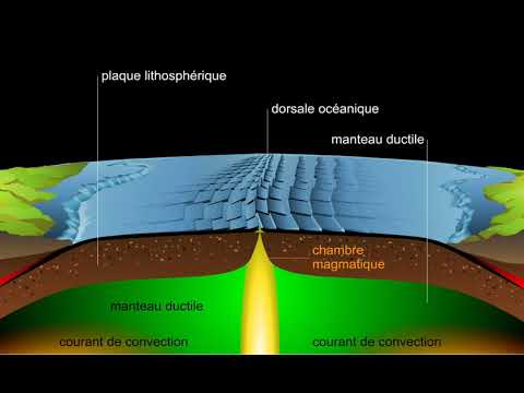 Expansion des fonds océaniques